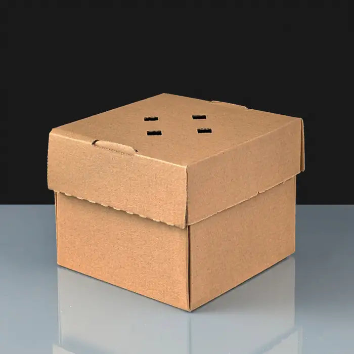 Custom Gourmet Burger Box